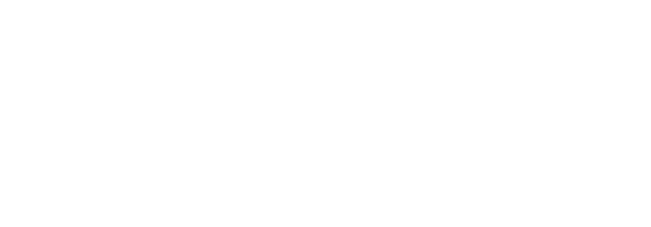 Amiri's Auto Detailing